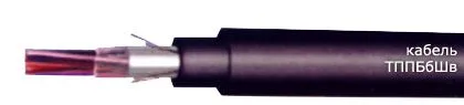 Кабель ТППБбШв 10х2х0,64